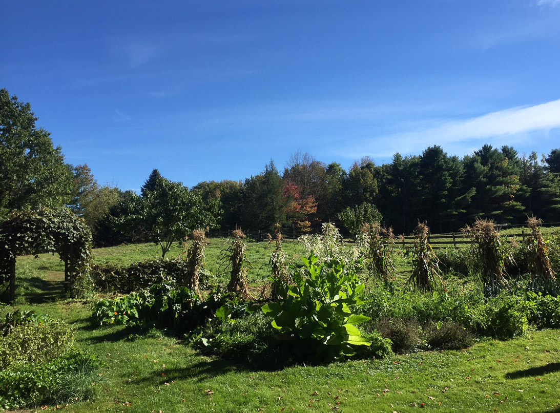 AUTUMN GARDEN Hawk RIdge Farm 