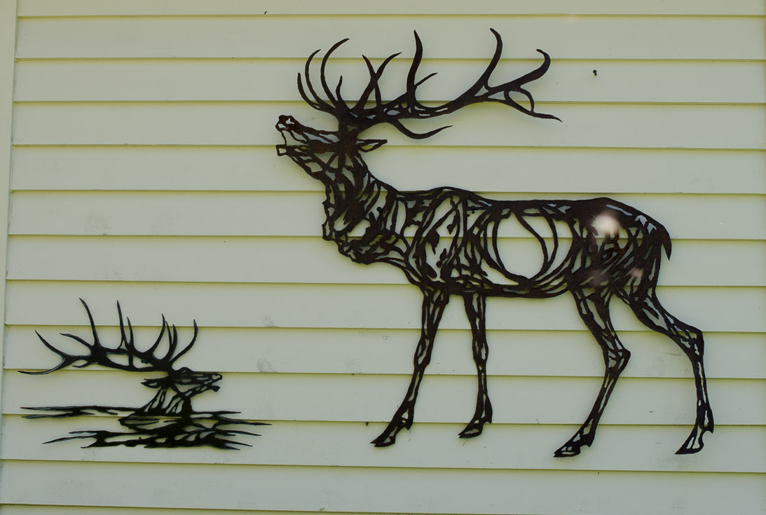 #75 Swimming Elk, #76 Baroque Elk