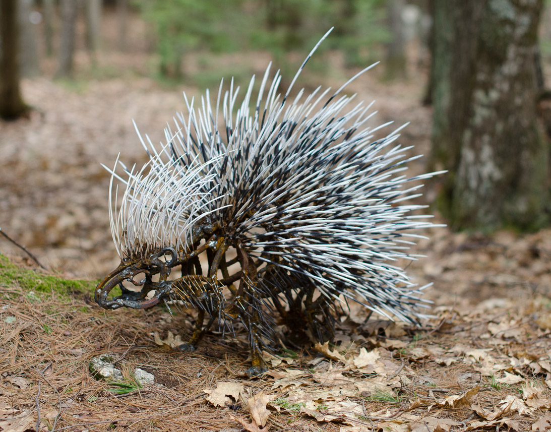 #28 PORCUPINE (large)