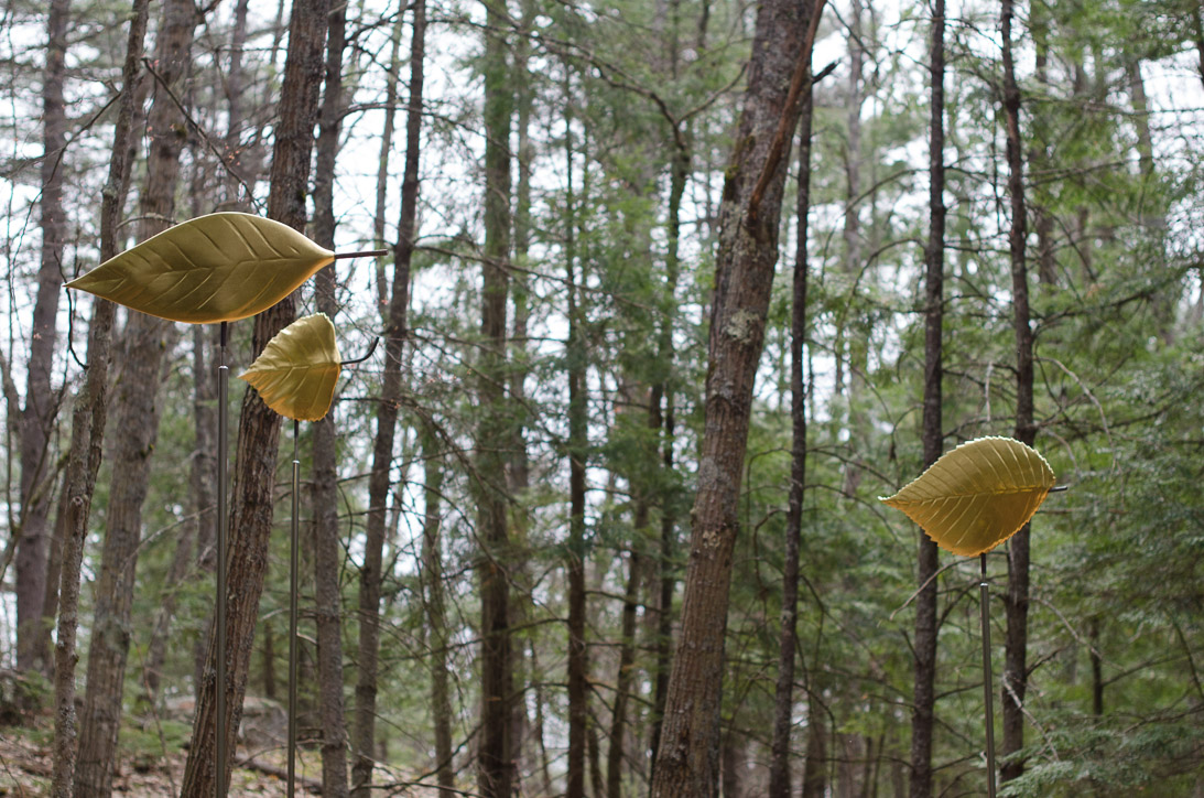 #41 ASH, ELM, & GREY BIRCH LEAVES 