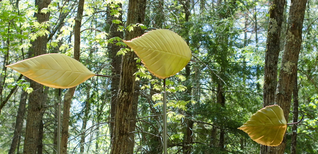 #45 ASH, ELM, GREY BIRCH LEAVES  (detail) 