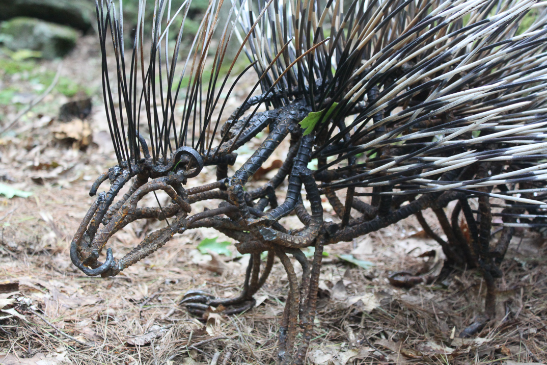 #100 PORCUPINE (detail)