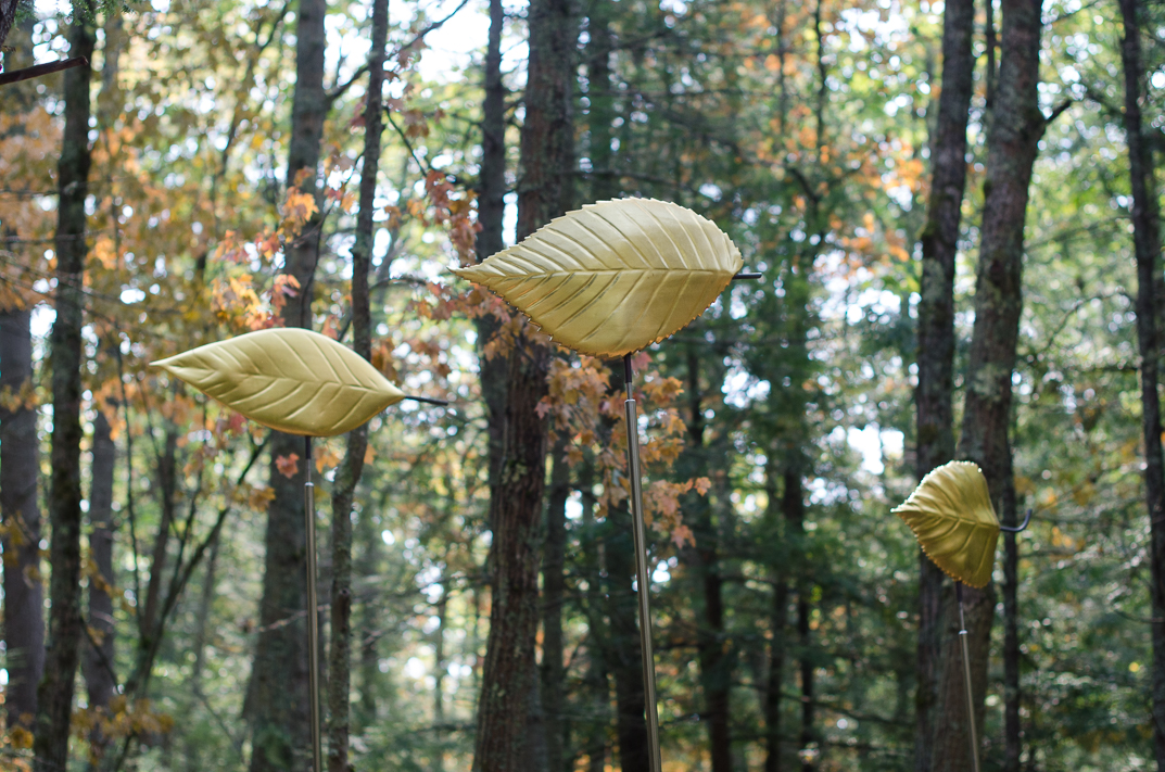 #100  ASH, ELM, GREY BIRCH LEAVES 