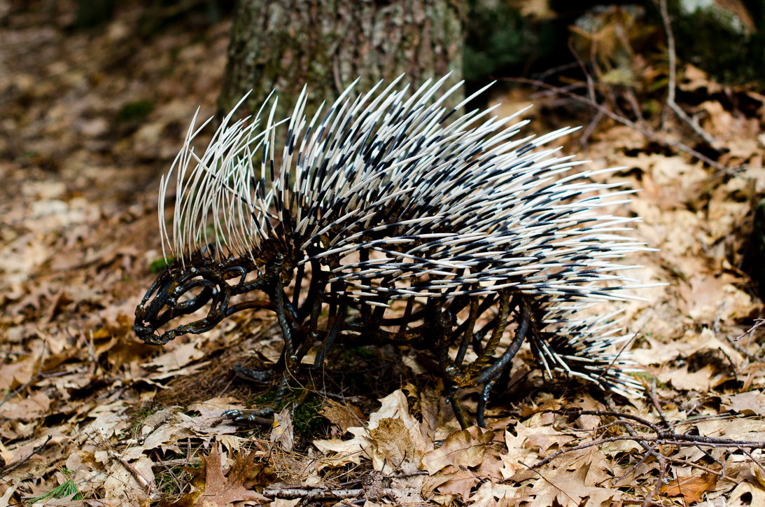 #41 PORCUPINE (small)