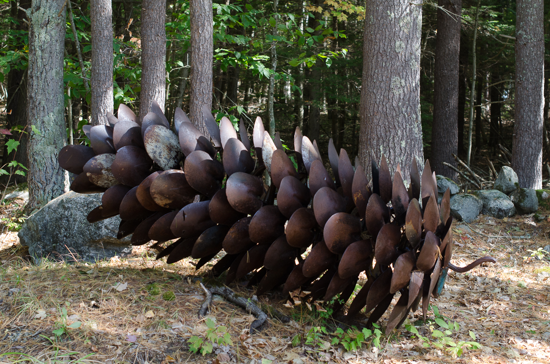 #20 PINECONE 