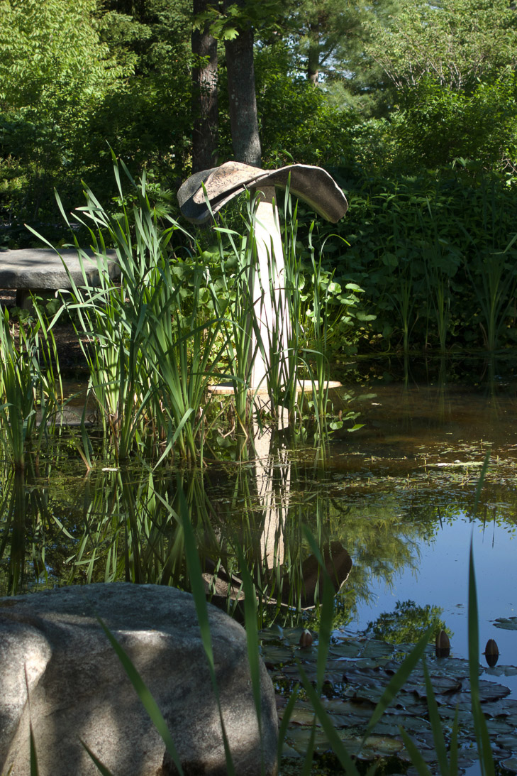 #14 GATHERING  (pond installation) 