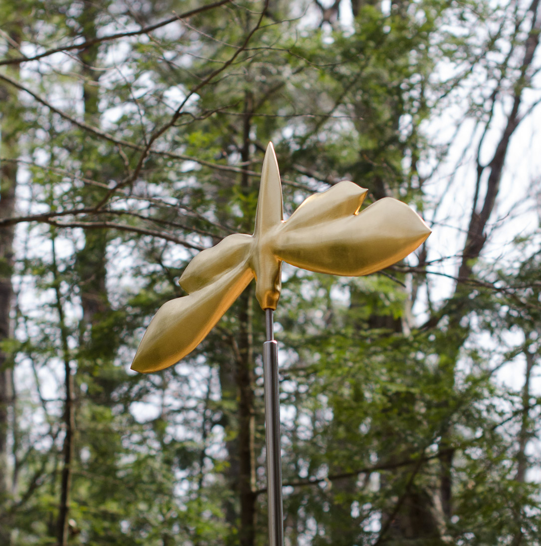 #A  HAWK MOTH (detail) 